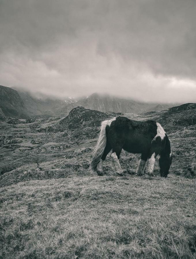 Vila Gwynant Bach Rowen Exteriér fotografie